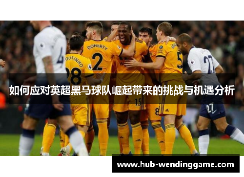 如何应对英超黑马球队崛起带来的挑战与机遇分析 如何应对英超黑马球队崛起带来的挑战与机遇分析