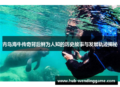青岛海牛传奇背后鲜为人知的历史故事与发展轨迹揭秘 青岛海牛传奇背后鲜为人知的历史故事与发展轨迹揭秘