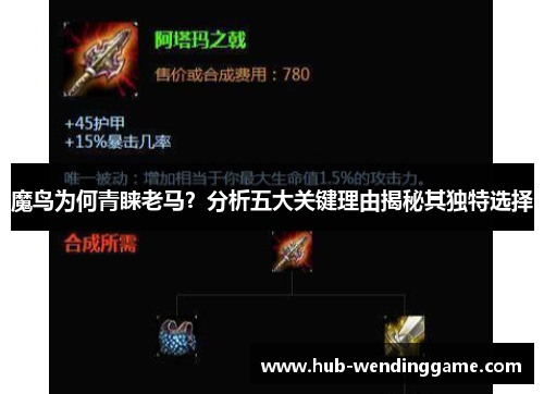 魔鸟为何青睐老马？分析五大关键理由揭秘其独特选择