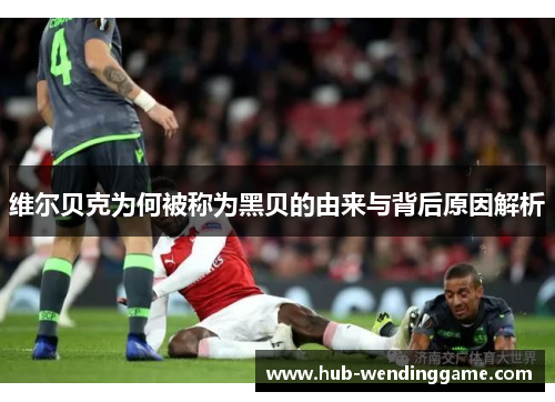 维尔贝克为何被称为黑贝的由来与背后原因解析